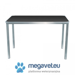 Stainless steel treatment table