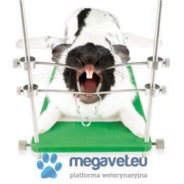 Stand for the treatment of teeth for rodents