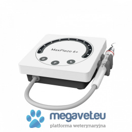 Veterinary scaler MAXPIEZO 6+ [WOE]