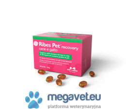 Ribes Pet cane e gatto 30/60 kapsułek (ILV)