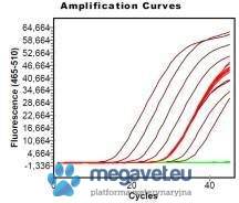 AmpliTest Legionella spp. (Real Time PCR) [ALN]