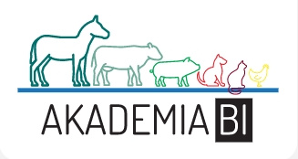 akademia-bi-logo.jpg