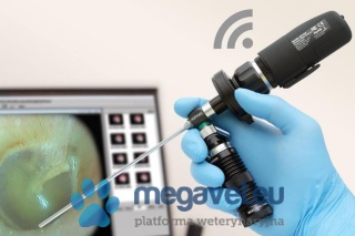 DE1250 bezprzewodowa kamera endoskopowa [GWV]