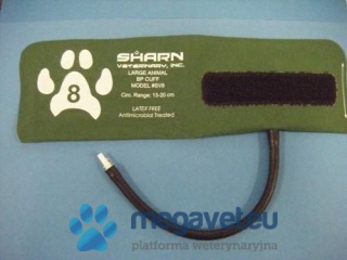 Large animal cuff 8.0 cm [GWV]