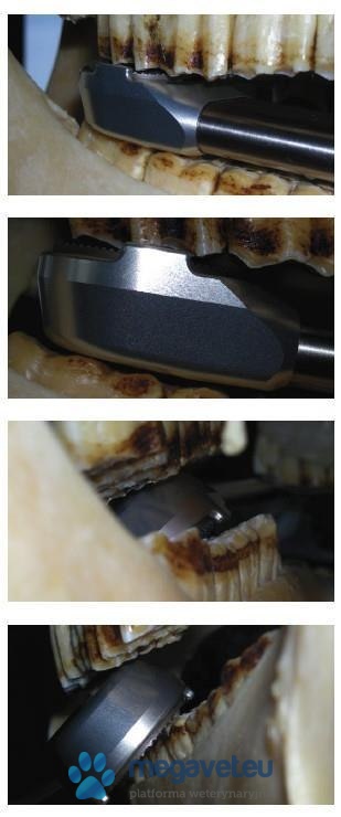 Electric rasp Swissfloat Slimline for horses [GWV]