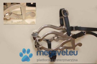 Gag for horses Swissvet (FET)