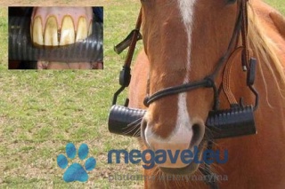 Gag to the incisors (FET)