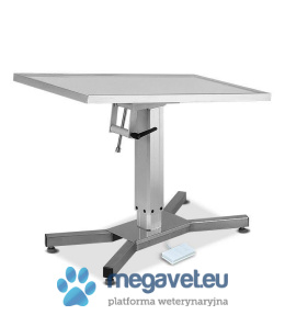 Treatment and operating table with electric lift [ECM]
