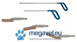 RASP hippo-dent for horses