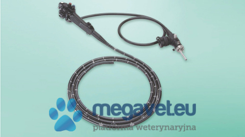 Veterinary video endoscope for horses KARL STORZ 13 mm x 325 cm, channel rob. 3.4 mm [MEM]