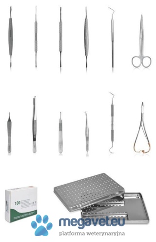 Dental kit for dogs and cats [ECM]