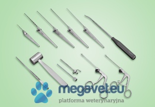 Arthroscopic set for small animals by Dr. BEALE STORZ [MEM]