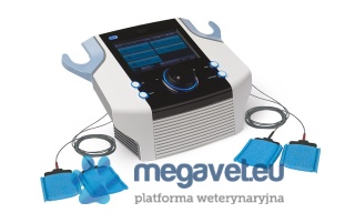 BTL-4625 PREMIUM [BLT]