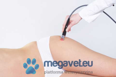 BTL-5000 SWT Power + High Intensity Laser 7 W [BTL]