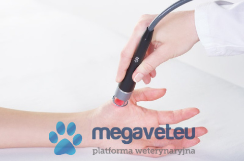 BTL-5000 SWT Power + High Intensity Laser 7 W [BTL]