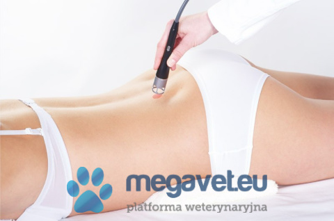 BTL-5000 SWT Power + High Intensity Laser 7 W [BTL]