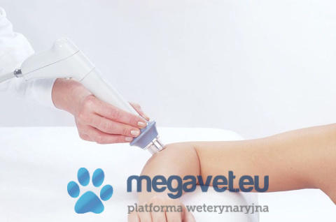 BTL-5000 SWT Power + High Intensity Laser 7 W [BTL]