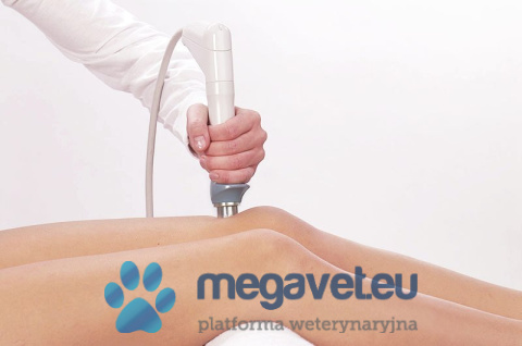 BTL-5000 SWT Power + High Intensity Laser 7 W [BTL]