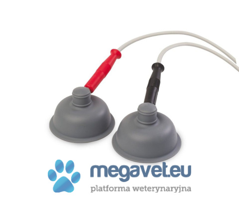 BTL-5620 Pulse [BTL]