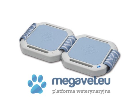 BTL-5920 Magnet [BTL]