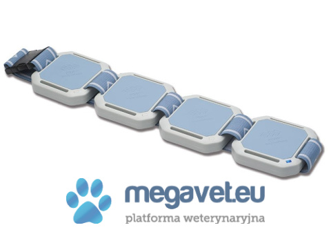 BTL-5940 Magnet [BTL]