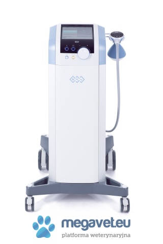 BTL-6000 FSWT FOCUS [BTL]