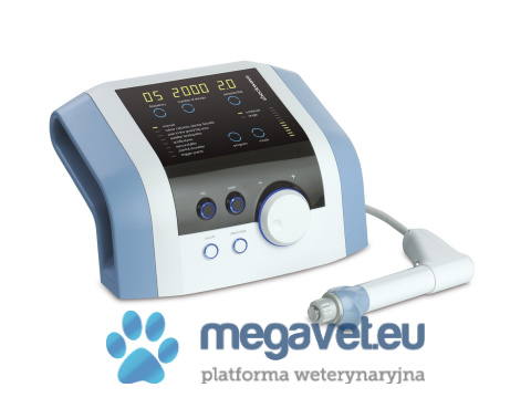 BTL-6000 SWT EASY Shockwave Therapy