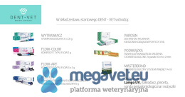 Veterinary dental kit DENT-VET [WOE]