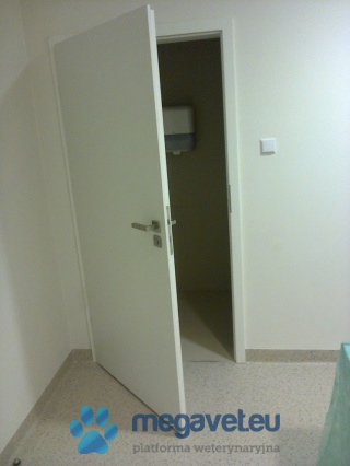 X-ray doors Adhesive [ASR]