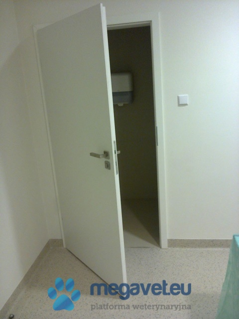 X-ray doors Adhesive [ASR]