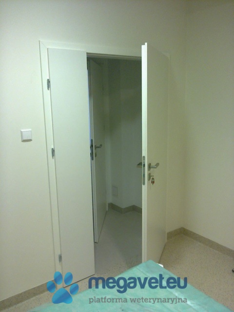 X-ray doors Adhesive [ASR]