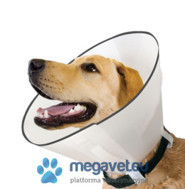 Comfort (with rubber band) protective collar [PNT]