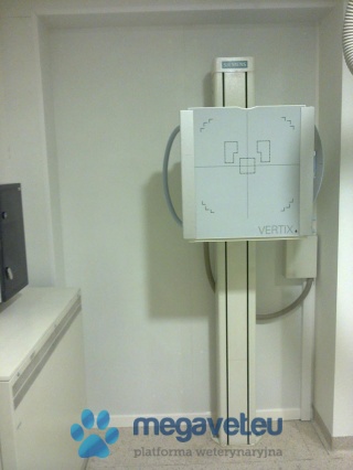 Zabezpieczanie ścian [ASR]