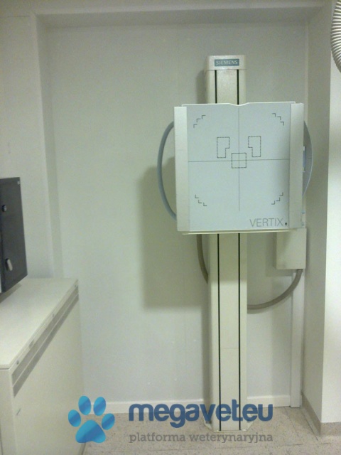 Securing Walls [ASR]