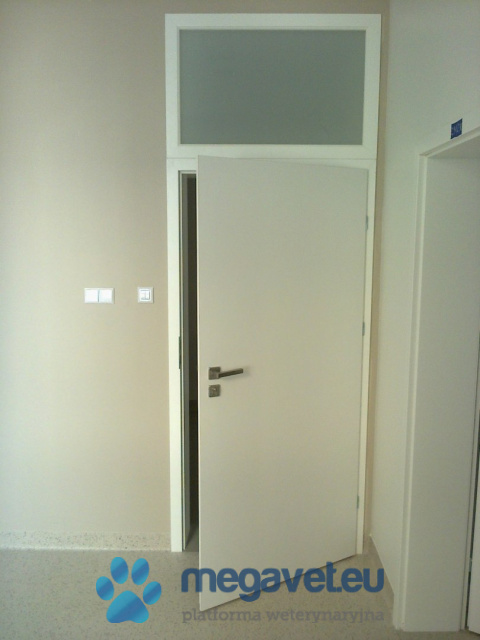 On-site door security [ASR]