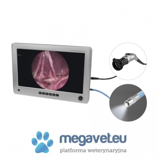 EickView EickView 4-in-1 Monitor for Endoscopy [ECM]