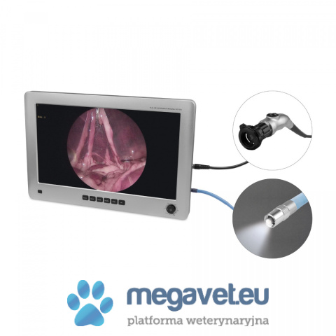 EickView Monitor 4-in-1 EickView for Endoscopy