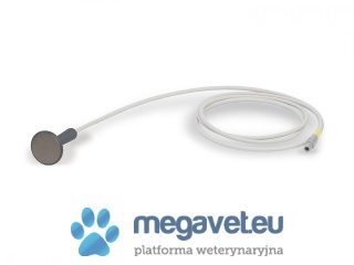 BTL-6000 TR-Therapy Pro [BTL]