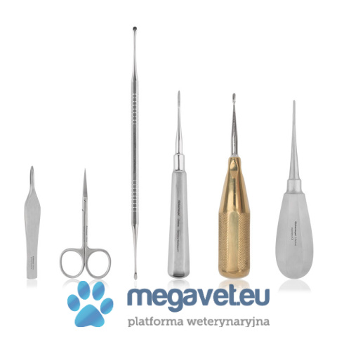 Small dental kit for cats