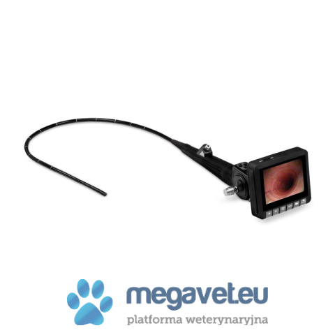 EickView 100E LED-Videoendoscope for horses