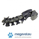 Cervical spine vertebrae - Dog [MID]