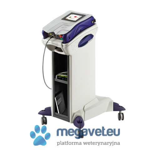 Veterinary laser - Mphi Vet [MID]