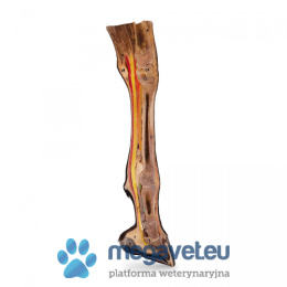 Horse leg model [ECM]