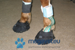 Horse Gait Analysis System - Hoof System [MID]