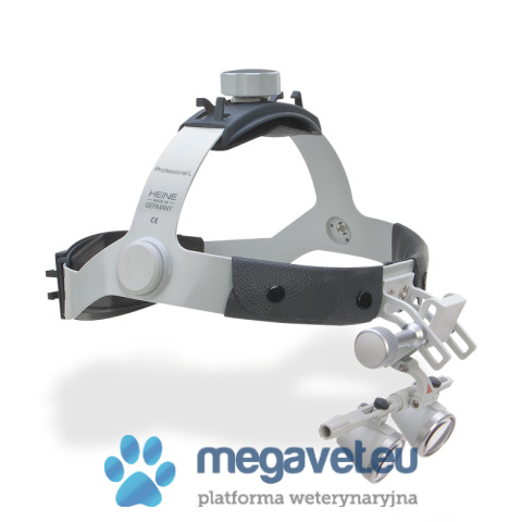 HEINE® spectacle magnifiers on HEINE® Professional L band