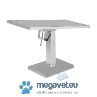 Treatment and operating table with electric lift [ECM]