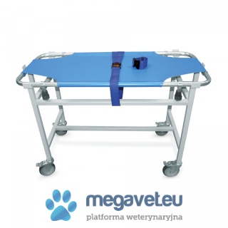 Stretchers on a mobile base [ECM]