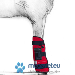 Therapeutic protectors for horses with PEMF magnetotherapy [MID]