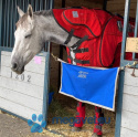 Therapeutic protectors for horses with PEMF magnetotherapy [MID]