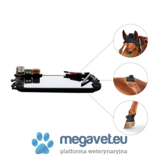 Equinosis® Q with Lameness Locator® [ECM]